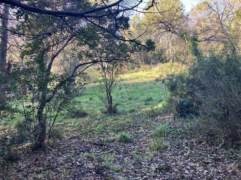 Terrain constructible - 11 000 m²