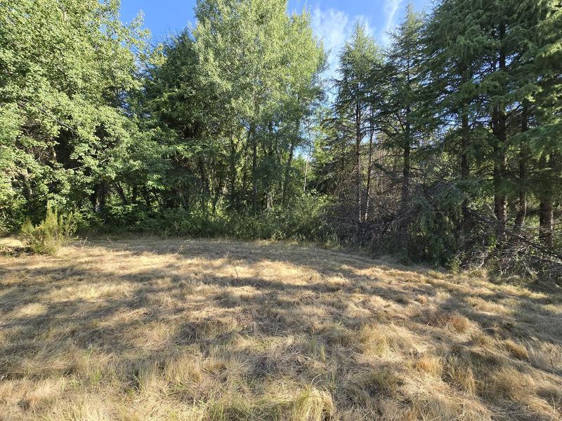 Maison de domaine - 260 m² - 7 pièces