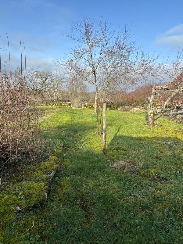 Maison - 230 m² - 8 pièces