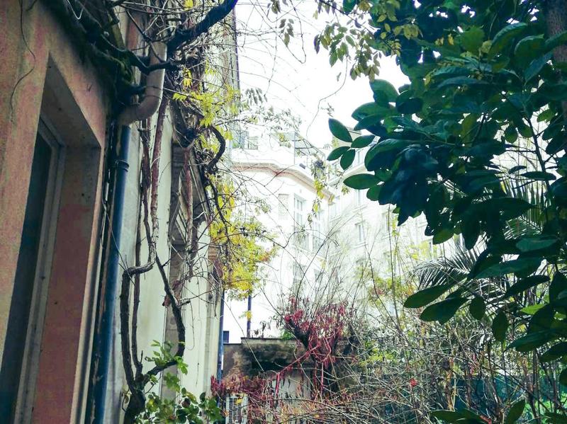 Maison - 310 m² - 11 pièces