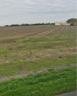 Terrain constructible - 441 m²