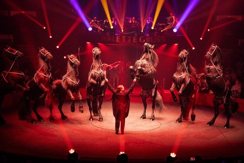 Cirque Arlette Gruss