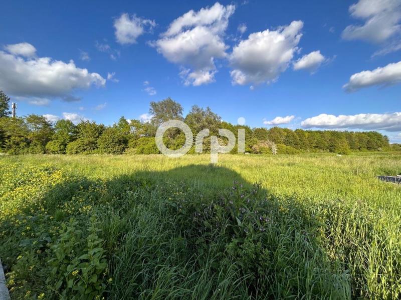 Terrain constructible - 1 000 m²