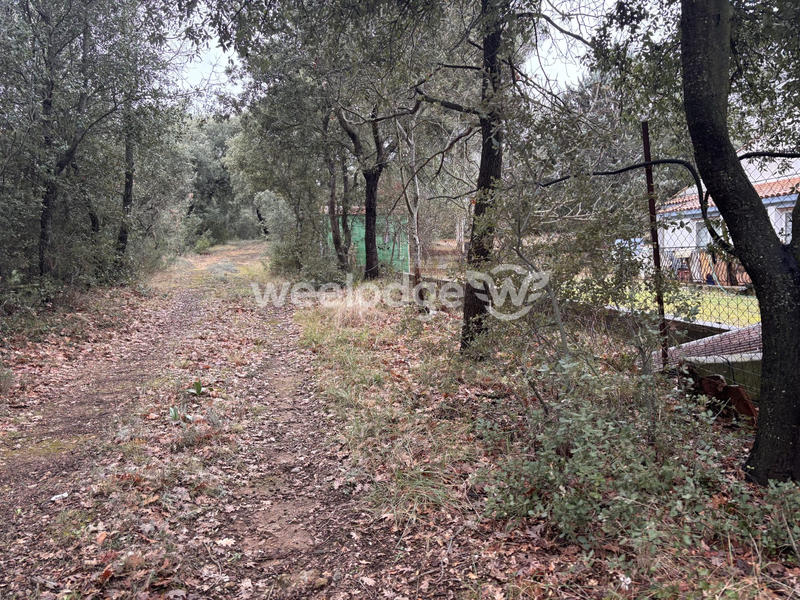 Maison ancienne - 100 m² - 4 pièces