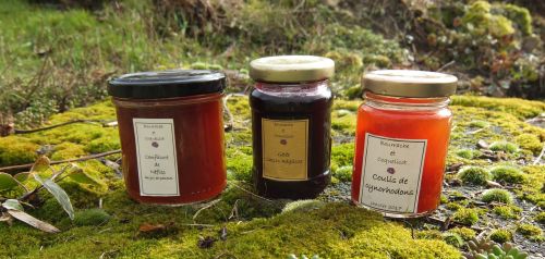 Bourrache et Coquelicot