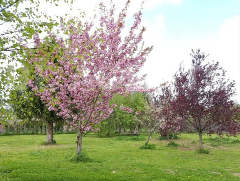 Maison - 180 m² - 8 pièces