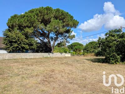 Terrain - 730 m²