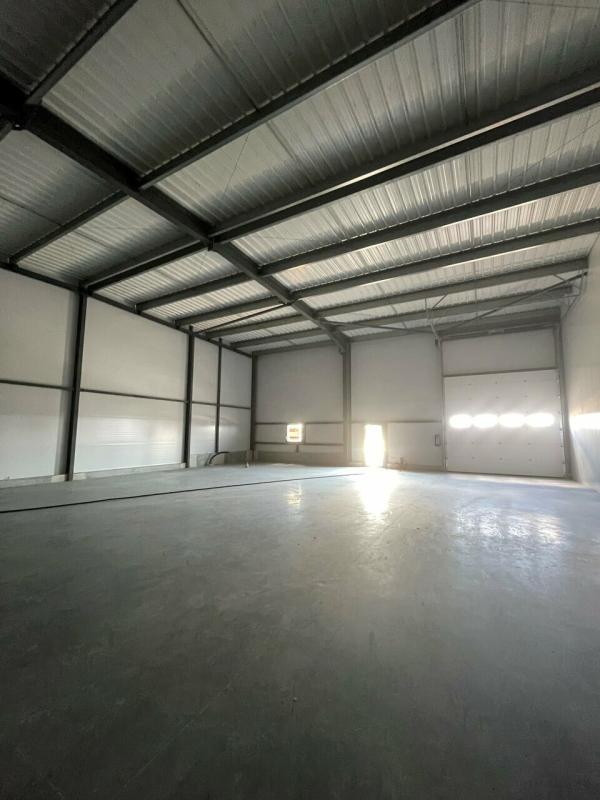 Local d'activité / Entrepôt - 300 m²