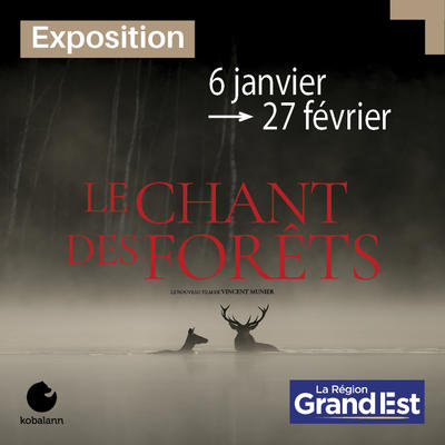 Le chant des forêts