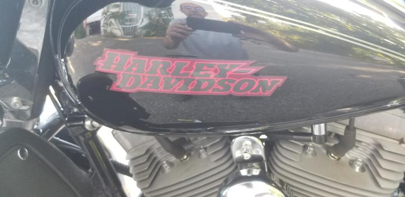 Harley Davidson Electra glide std 1590