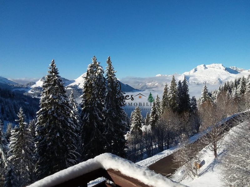 Appartement - 21 m² - 1 pièce