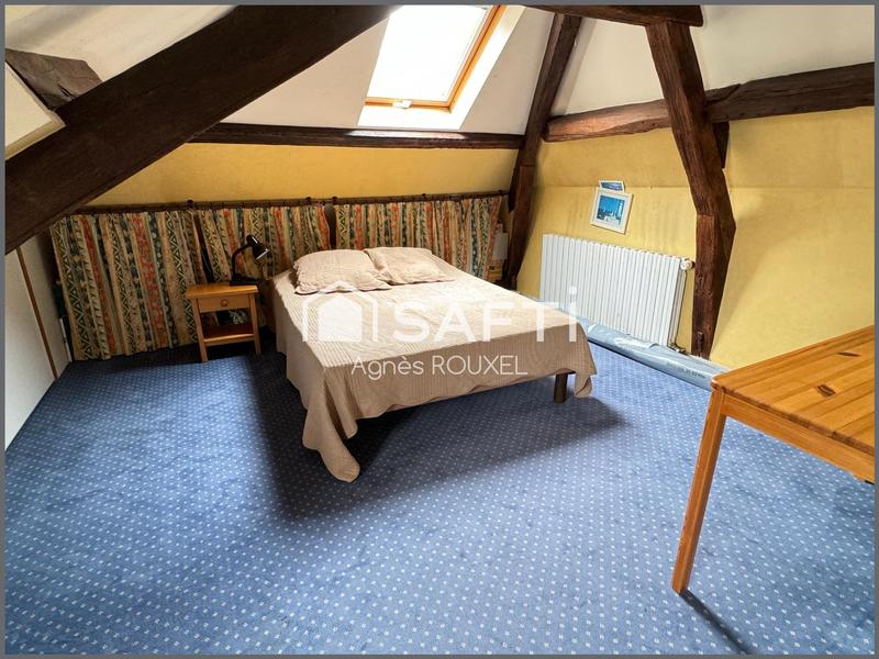 Hôtel particulier - 255 m² - 10 pièces