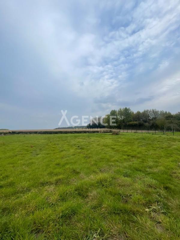 Terrain constructible - 1 209 m²