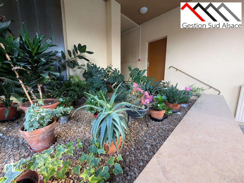 Appartement - 56 m² - 2 pièces