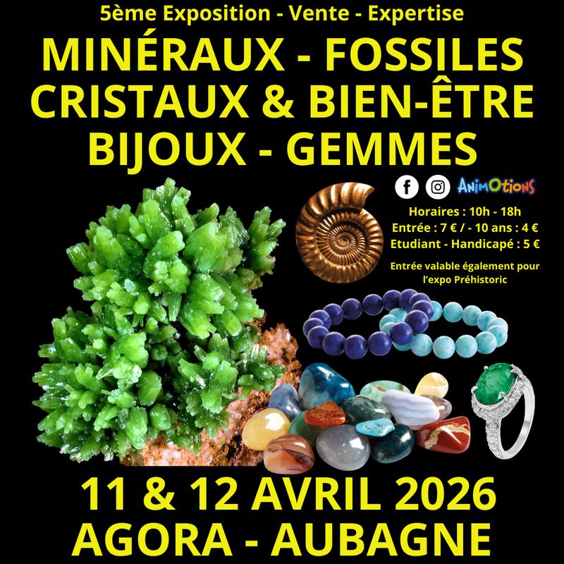 5ème salon minéraux fossiles cristaux et bien-être bijoux et gemmes + exposition sur la préhistoire