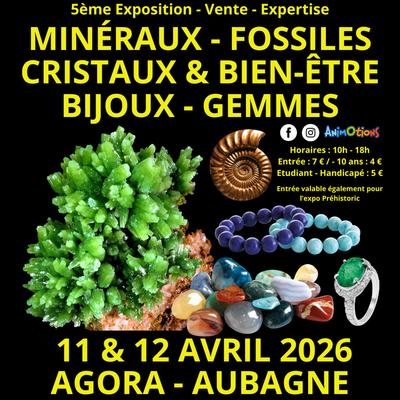 5ème salon minéraux fossiles cristaux et bien-être bijoux et gemmes + exposition sur la préhistoire