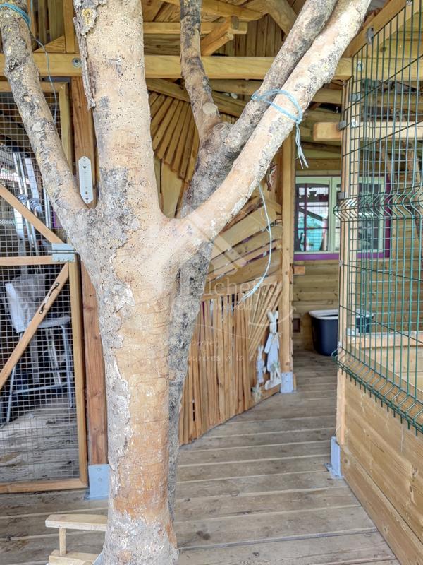 Maison - 210 m² - 5 pièces