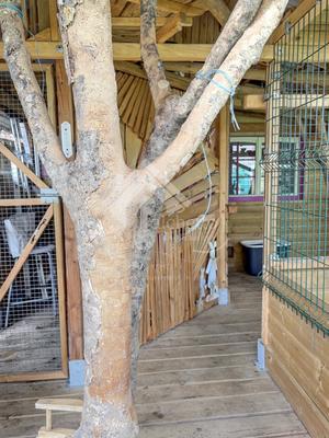 Maison - 210 m² - 5 pièces