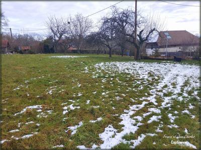 Terrain constructible - 3 048 m²