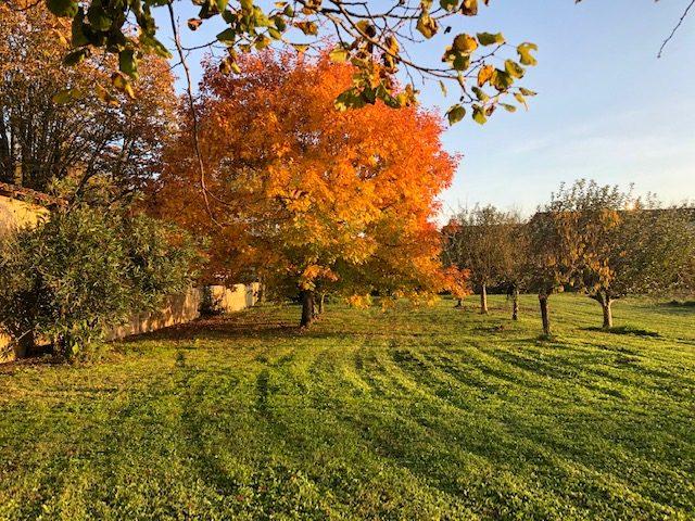 Maison - 240 m² - 6 pièces