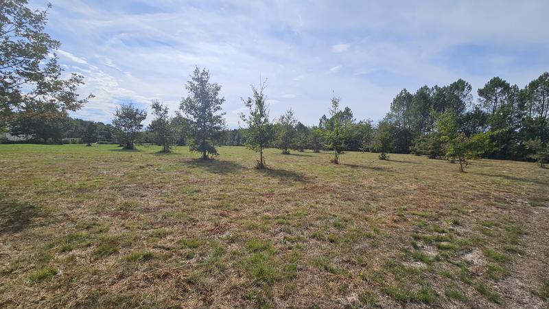 Terrain - 11 969 m²