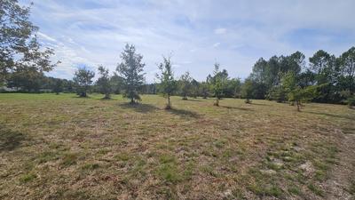 Terrain - 11 969 m²