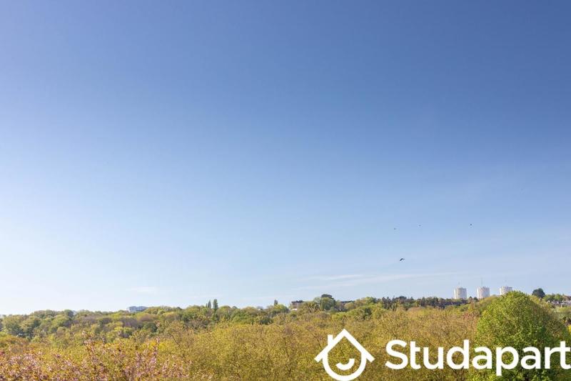 Chambre - 9 m² - 1 pièce