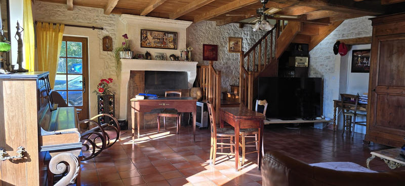 Viager - Maison ancienne - 248 m² - 11 pièces