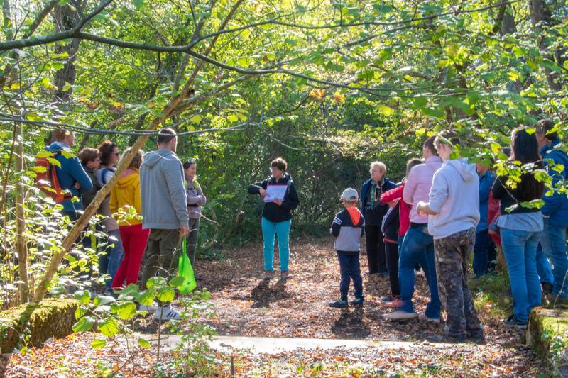 Balade contée - l'écho de la forêt