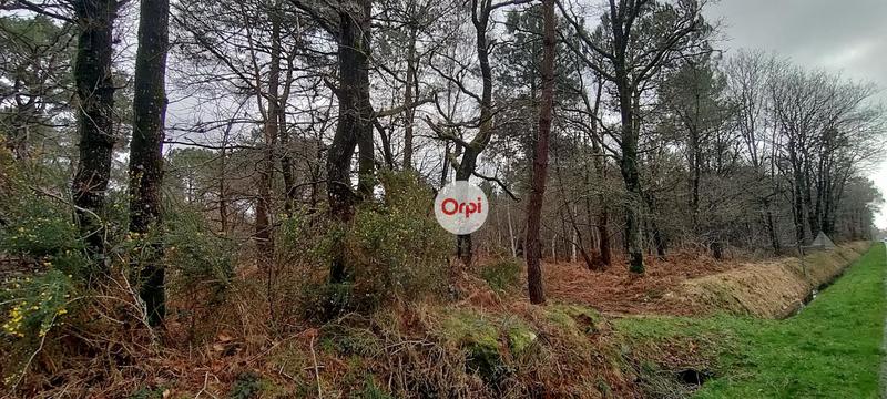 Terrain de loisirs - 49 615 m²