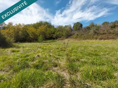 Terrain agricole - 4 600 m²