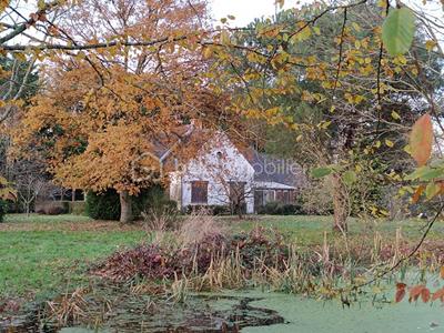 Propriété - 230 m² - 8 pièces