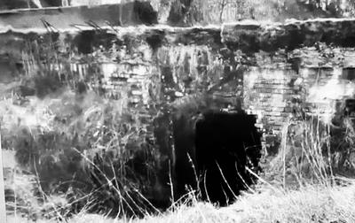 Terrain de loisirs - 1 000 m²