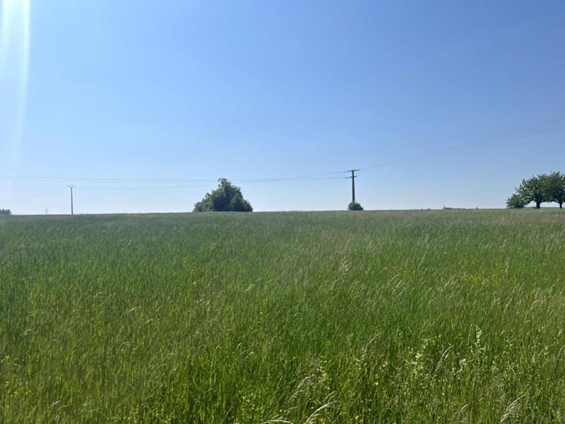 Terrain constructible - 7 090 m²