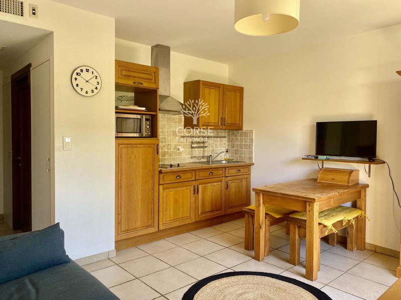 Studio - 24 m² - 1 pièce