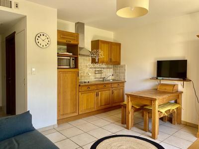 Studio - 24 m² - 1 pièce