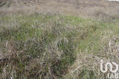 Terrain - 2 300 m²