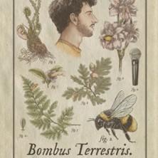 Rémi Boyes - Bombus Terrestris - Tournée