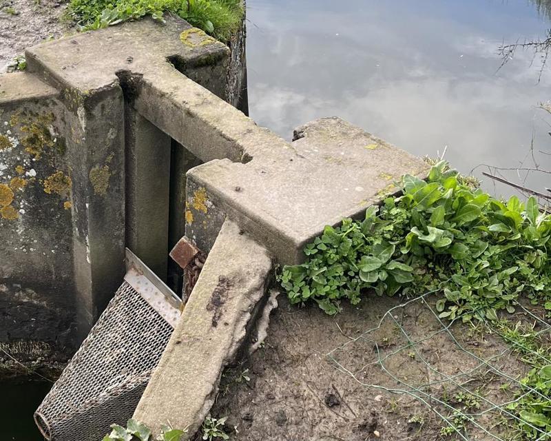 Terrain - 11 140 m²