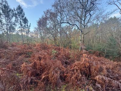 Terrain - 40 400 m²