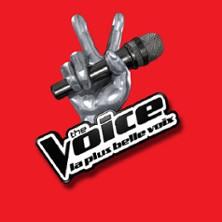The Voice - la Casting Officiel