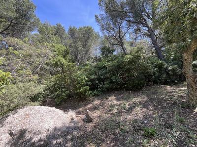 Terrain de loisirs - 8 590 m²