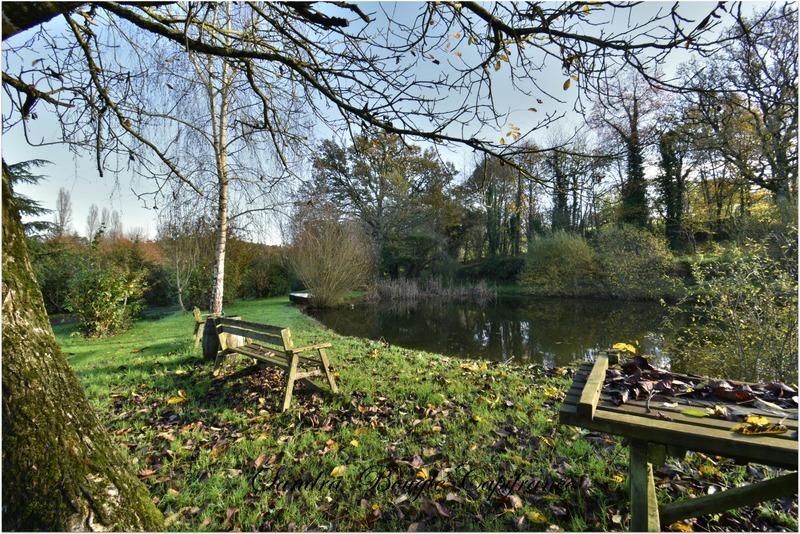 Maison en pierre - 174 m² - 10 pièces