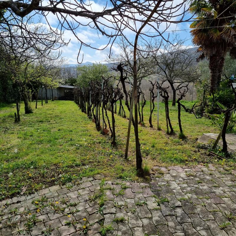 Maison - 300 m² - 9 pièces