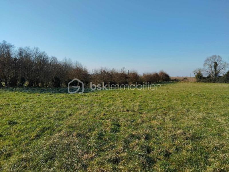 Terrain de loisirs - 2 000 m²