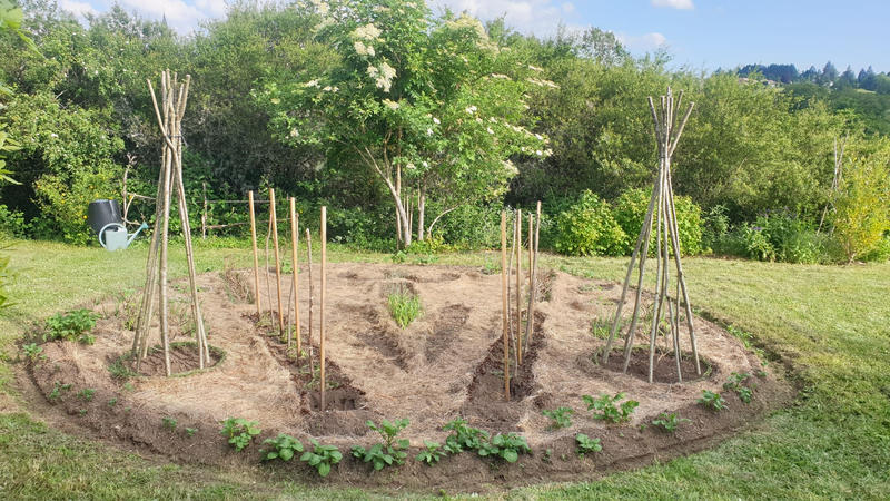 Maison - 118 m² - 5 pièces