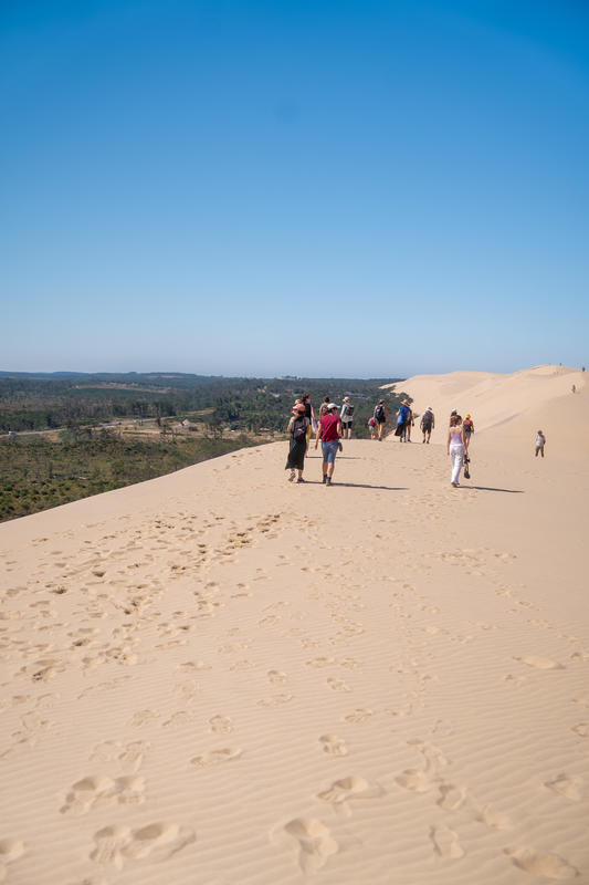 Randonnée sur la crête de la Dune du Pilat