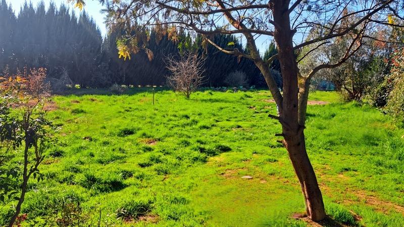 Maison - 101 m² - 5 pièces