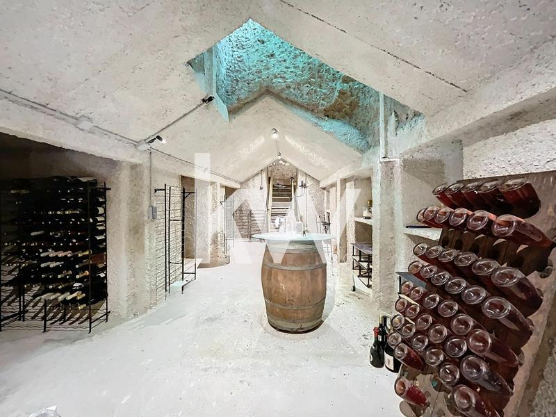 Maison - 900 m² - 11 pièces