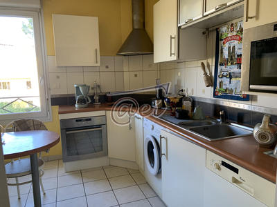Appartement - 50 m² - 2 pièces